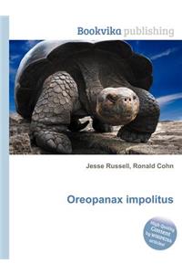 Oreopanax Impolitus