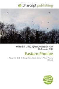 Eastern Phoebe
