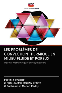 Les Problèmes de Convection Thermique En Milieu Fluide Et Poreux