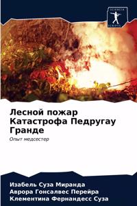 Лесной пожар Катастрофа Педругау Гранде