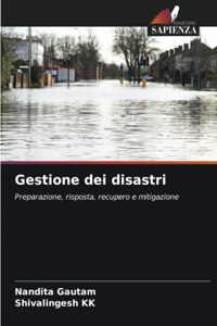 Gestione dei disastri