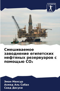 Смешиваемое заводнение египетских нефтя&