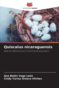 Quiscalus nicaraguensis