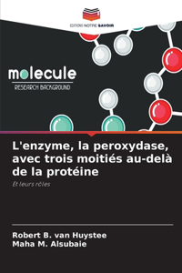 L'enzyme, la peroxydase, avec trois moitiés au-delà de la protéine