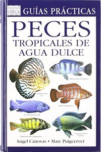 PECES TROPICALES DE AGUA DULCE