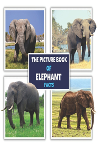 Picture Book of Elephant Facts