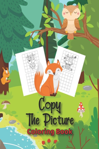 Copy The Picture Coloring Book