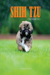 Shih Tzu Calendar 2021