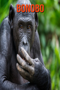 Bonobo