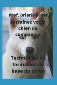 Techniques de formation de base du chien