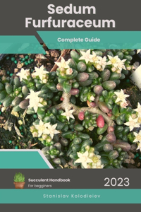 Sedum Furfuraceum