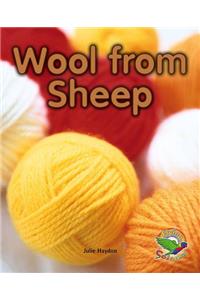 Wool from Sheep