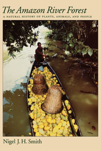 The Amazon River Forest