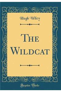 The Wildcat (Classic Reprint)