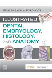 Illustrated Dental Embryology, Histology, and Anatomy