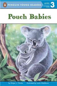 Pouch Babies