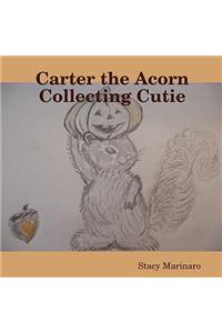 Carter the Acorn Collecting Cutie