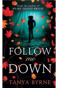 Follow Me Down