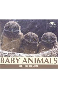 Baby Animals of the Desert