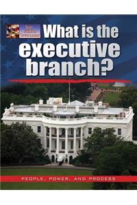What Is the Executive Branch?