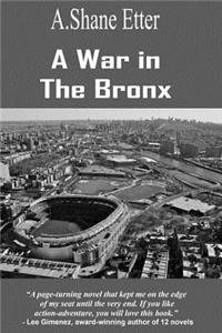 War in the Bronx