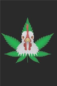 Cannabis