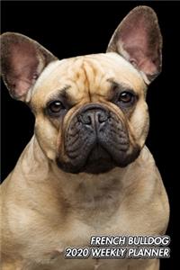 French Bulldog 2020 Weekly Planner