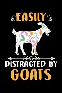 Easily Distracted by Goats