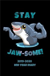 Stay Jaw-some! 2019-2020 Mid Year Diary