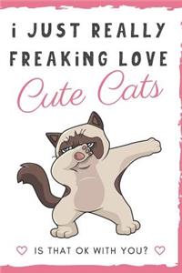 I Just Really Freaking Love Cute Cats. Is That OK With You?