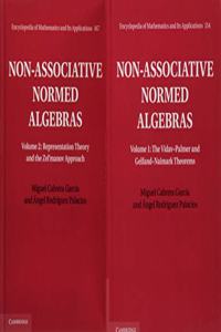 Non-Associative Normed Algebras 2 Volume Hardback Set