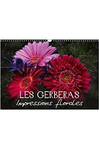 Gerberas Impressions Florales 2018