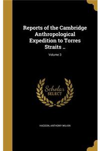 Reports of the Cambridge Anthropological Expedition to Torres Straits ..; Volume 3