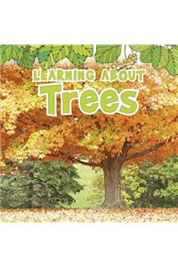 Learning about Trees