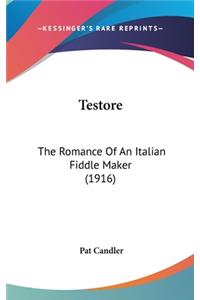 Testore: The Romance Of An Italian Fiddle Maker (1916)