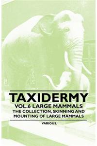 Taxidermy Vol.6 Large Mammals - The Collection, Skinning and Mounting of Large Mammals