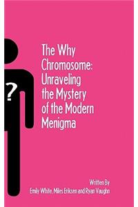 Why Chromosome