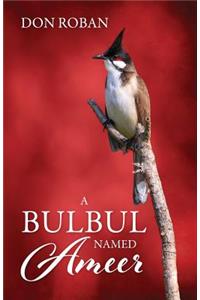 Bulbul Named Ameer