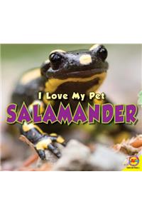 Salamander
