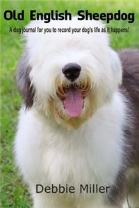 Old English Sheepdog