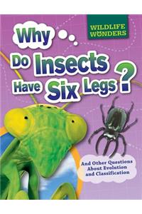 Why Do Insects Have Six Legs?