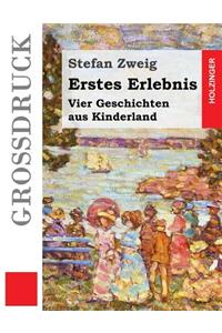 Erstes Erlebnis (Großdruck)
