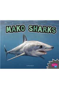All About Sharks Mako Sharks