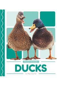 Ducks