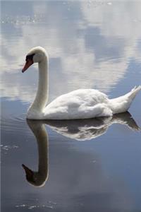 A White Swan on the Water Bird Journal
