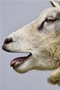 Talking Sheep Notebook