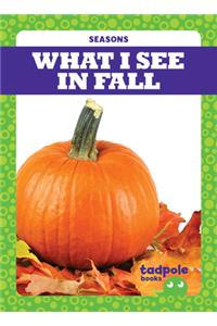 What I See in Fall