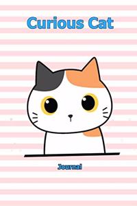 Curious Cat