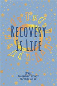 Recovery Is Life
