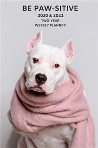 2020 & 2021 Two Year Weekly Planner For Staffordshire Bull Terrier - Cute Pit bull Dog Pun Appointment Book Gift - Two-Year Agenda Notebook